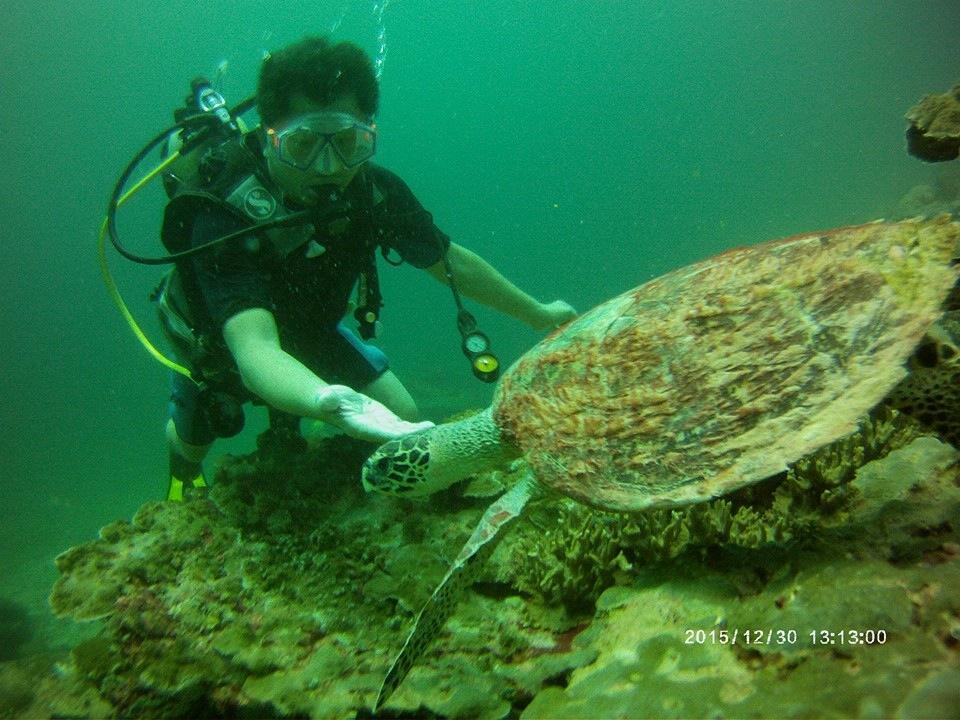 Libong Sea Breeze Resort Zewnętrze zdjęcie